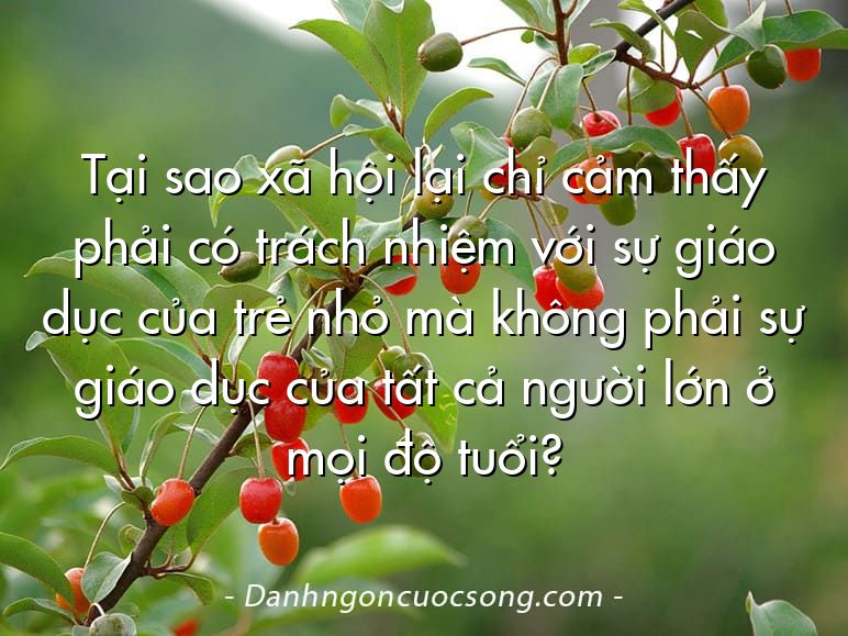 Tại sao xã hội lại chỉ cảm thấy phải có trách nhiệm với sự giáo dục của trẻ nhỏ mà không phải sự giáo dục của tất cả người lớn ở mọi độ tuổi?