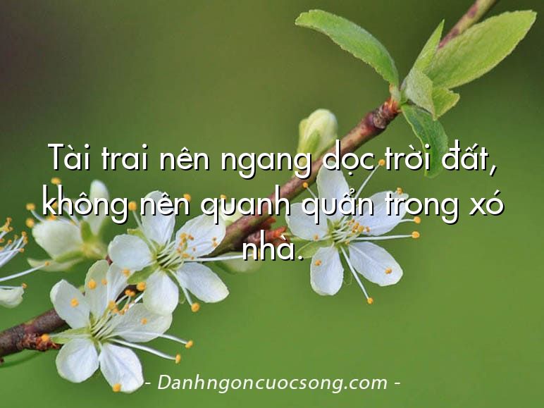 Tài trai nên ngang dọc trời đất, không nên quanh quẩn trong xó nhà.