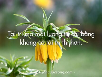 Tài trí mà mất lương tri chi bằng không có tài trí thì hơn.