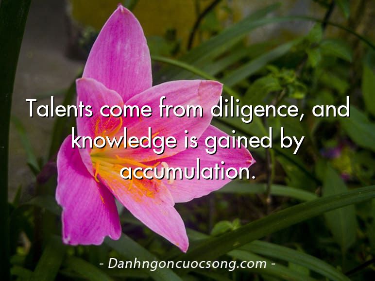 Talents come from diligence, and knowledge is gained by accumulation.