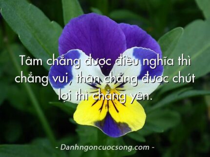 Tâm chẳng được điều nghĩa thì chẳng vui, thân chẳng được chút lợi thì chẳng yên.