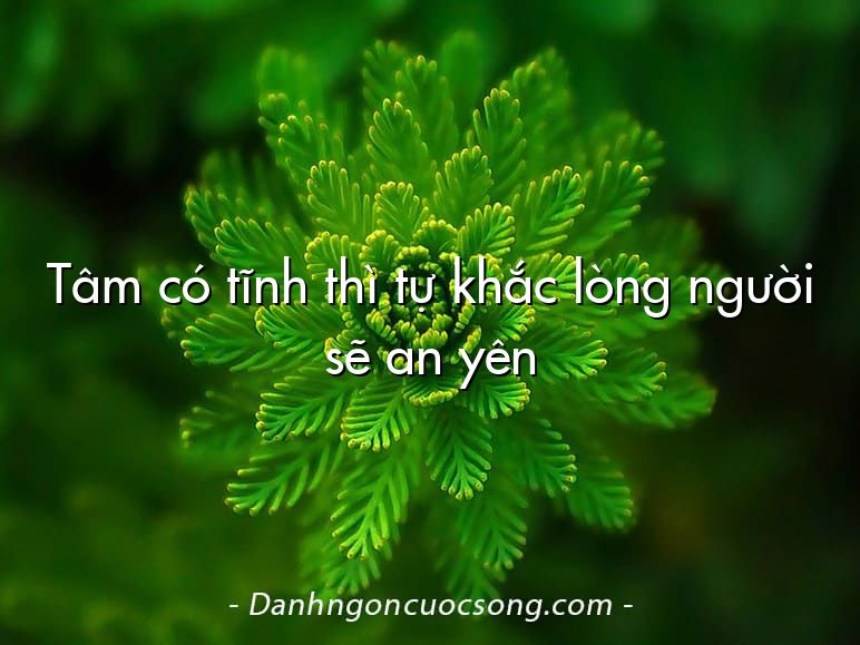 Tâm có tĩnh thì tự khắc lòng người sẽ an yên
