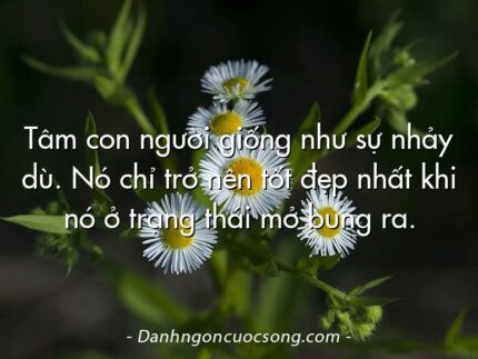 Tâm con người giống như sự nhảy dù. Nó chỉ trở nên tốt đẹp nhất khi nó ở trạng thái mở bung ra.