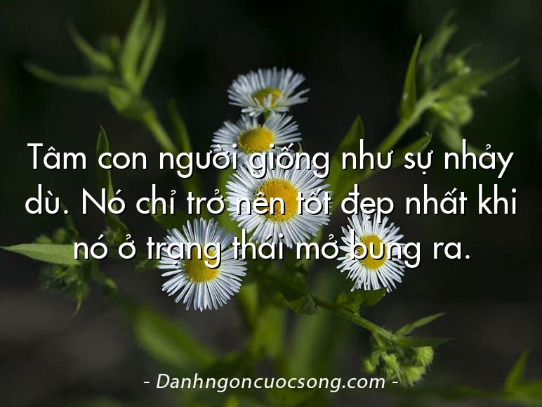 Tâm con người giống như sự nhảy dù. Nó chỉ trở nên tốt đẹp nhất khi nó ở trạng thái mở bung ra.