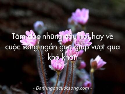 Tâm đắc những câu nói hay về cuộc sống ngắn gọn giúp vượt qua khó khăn