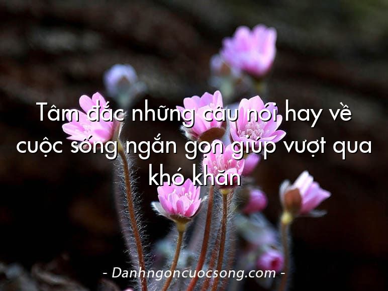 Tâm đắc những câu nói hay về cuộc sống ngắn gọn giúp vượt qua khó khăn