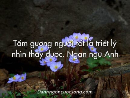 Tấm gương người tốt là triết lý nhìn thấy được. Ngạn ngữ Anh