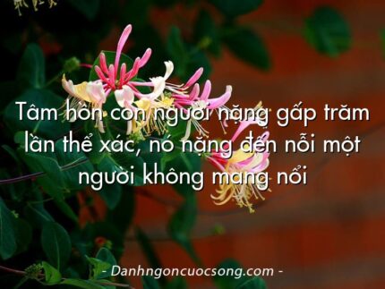 Tâm hồn con người nặng gấp trăm lần thể xác, nó nặng đến nỗi một người không mang nổi