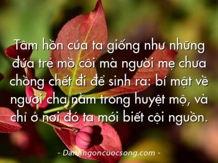 Tâm hồn của ta giống như những đứa trẻ mồ côi mà người mẹ chưa chồng chết đi để sinh ra: bí mật về người cha nằm trong huyệt mộ, và chỉ ở nơi đó ta mới biết cội nguồn.