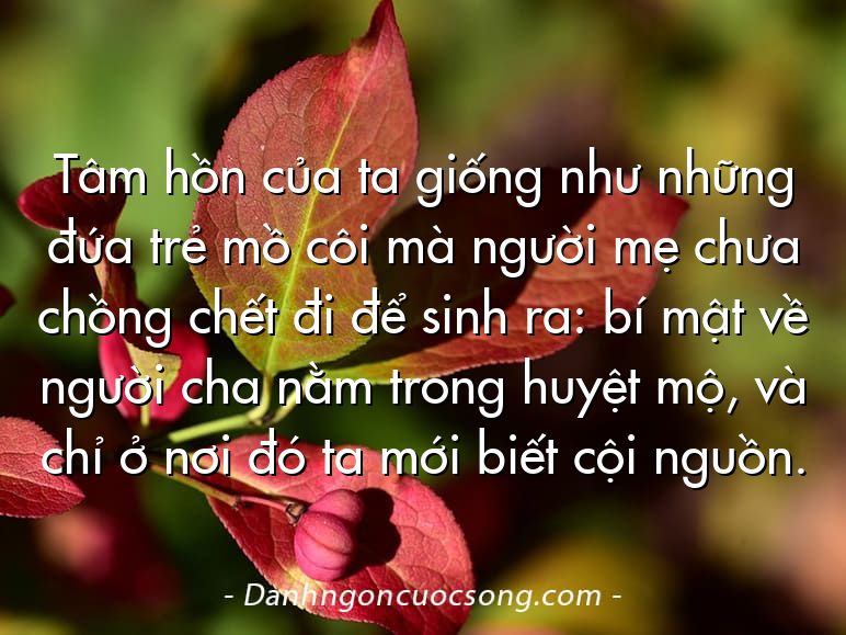 Tâm hồn của ta giống như những đứa trẻ mồ côi mà người mẹ chưa chồng chết đi để sinh ra: bí mật về người cha nằm trong huyệt mộ, và chỉ ở nơi đó ta mới biết cội nguồn.