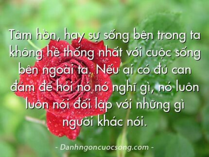 Tâm hồn, hay sự sống bên trong ta không hề thống nhất với cuộc sống bên ngoài ta. Nếu ai có đủ can đảm để hỏi nó nó nghĩ gì, nó luôn luôn nói đối lập với những gì người khác nói.
