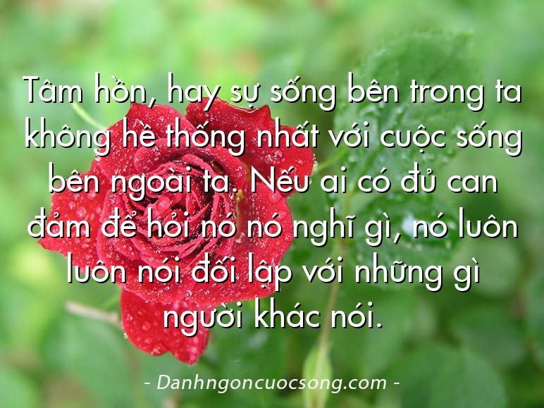 Tâm hồn, hay sự sống bên trong ta không hề thống nhất với cuộc sống bên ngoài ta. Nếu ai có đủ can đảm để hỏi nó nó nghĩ gì, nó luôn luôn nói đối lập với những gì người khác nói.