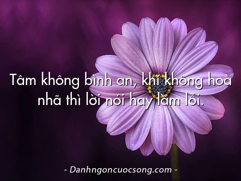 Tâm không bình an, khí không hoà nhã thì lời nói hay lầm lỗi.