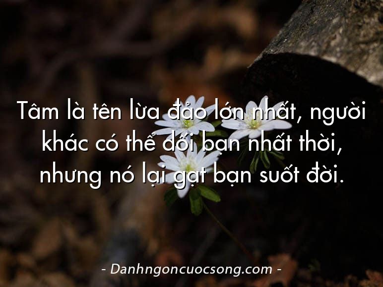 Tâm là tên lừa đảo lớn nhất, người khác có thể dối bạn nhất thời, nhưng nó lại gạt bạn suốt đời.