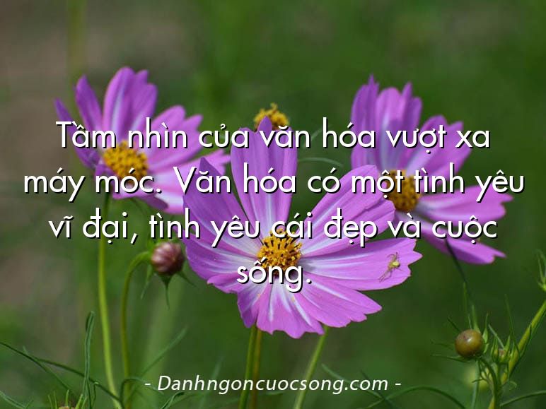Tầm nhìn của văn hóa vượt xa máy móc. Văn hóa có một tình yêu vĩ đại, tình yêu cái đẹp và cuộc sống.