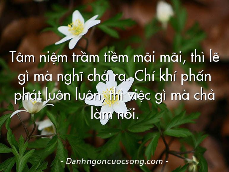 Tâm niệm trầm tiềm mãi mãi, thì lẽ gì mà nghĩ chả ra. Chí khí phấn phát luôn luôn, thì việc gì mà chả làm nổi.