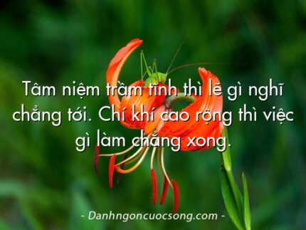 Tâm niệm trầm tĩnh thì lẽ gì nghĩ chẳng tới. Chí khí cao rộng thì việc gì làm chẳng xong.