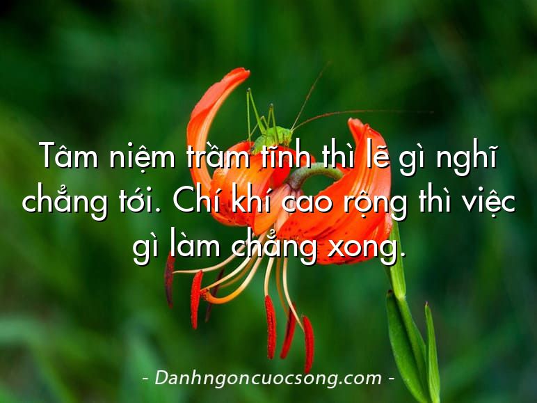 Tâm niệm trầm tĩnh thì lẽ gì nghĩ chẳng tới. Chí khí cao rộng thì việc gì làm chẳng xong.