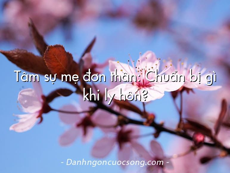 Tâm sự mẹ đơn thân: Chuẩn bị gì khi ly hôn?