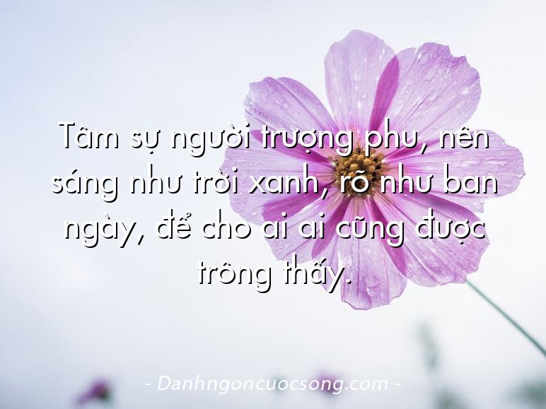 Tâm sự người trượng phu, nên sáng như trời xanh, rõ như ban ngày, để cho ai ai cũng được trông thấy.