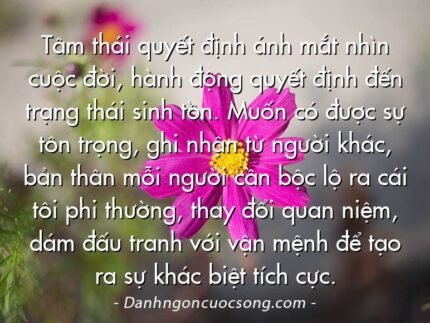 Tâm thái quyết định ánh mắt nhìn cuộc đời, hành động quyết định đến trạng thái sinh tồn. Muốn có được sự tôn trọng, ghi nhận từ người khác, bản thân mỗi người cần bộc lộ ra cái tôi phi thường, thay đổi quan niệm, dám đấu tranh với vận mệnh để tạo ra sự khác biệt tích cực.