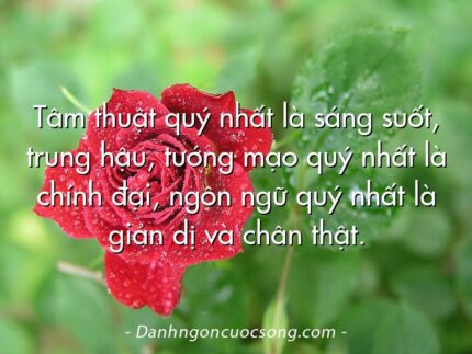 Tâm thuật quý nhất là sáng suốt, trung hậu, tướng mạo quý nhất là chính đại, ngôn ngữ quý nhất là giản dị và chân thật.