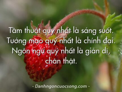 Tầm thuật quý nhất là sáng suốt. Tướng mạo quý nhất là chính đại. Ngôn ngữ quý nhất là giản dị, chân thật.