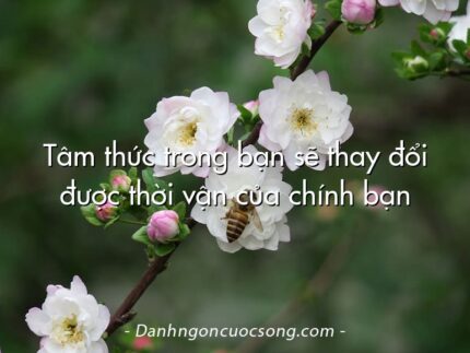 Tâm thức trong bạn sẽ thay đổi được thời vận của chính bạn