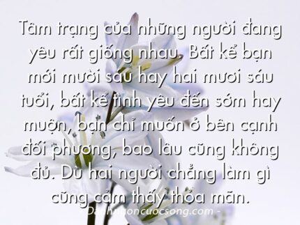 Tâm trạng của những người đang yêu rất giống nhau. Bất kể bạn mới mười sáu hay hai mươi sáu tuổi, bất kể tình yêu đến sớm hay muộn, bạn chỉ muốn ở bên cạnh đối phương, bao lâu cũng không đủ. Dù hai người chẳng làm gì cũng cảm thấy thỏa mãn.