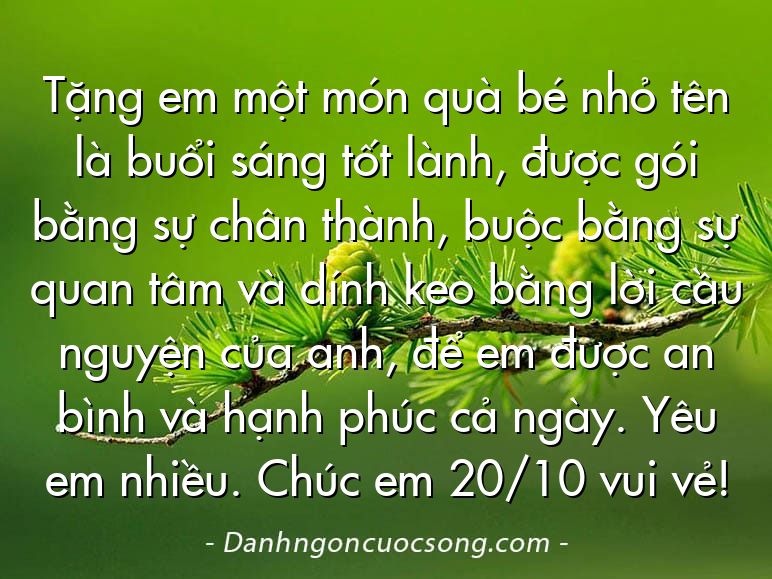 Tặng em một món quà bé nhỏ tên là buổi sáng tốt lành, được gói bằng sự chân thành, buộc bằng sự quan tâm và dính keo bằng lời cầu nguyện của anh, để em được an bình và hạnh phúc cả ngày. Yêu em nhiều. Chúc em 20/10 vui vẻ!