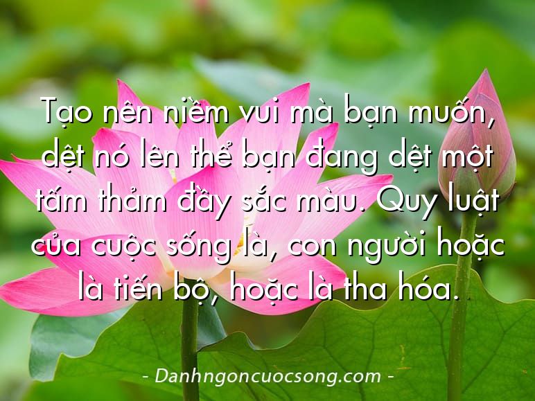 Tạo nên niềm vui mà bạn muốn, dệt nó lên thể bạn đang dệt một tấm thảm đầy sắc màu. Quy luật của cuộc sống là, con người hoặc là tiến bộ, hoặc là tha hóa.