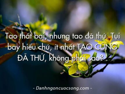 Tao thất bại, nhưng tao đã thử. Tụi bay hiểu chứ, ít nhất TAO CŨNG ĐÃ THỬ, không phải sao? .