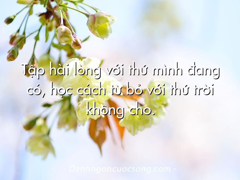 Tập hài lòng với thứ mình đang có, học cách từ bỏ với thứ trời không cho.