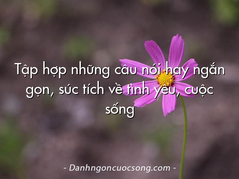 Tập hợp những câu nói hay ngắn gọn, súc tích về tình yêu, cuộc sống