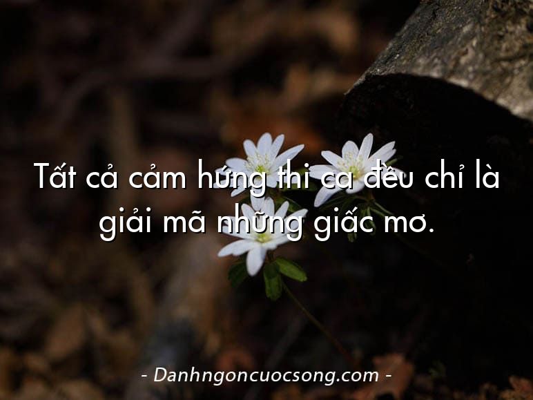 Tất cả cảm hứng thi ca đều chỉ là giải mã những giấc mơ.
