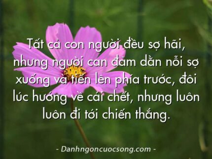 Tất cả con người đều sợ hãi, nhưng người can đảm dằn nỗi sợ xuống và tiến lên phía trước, đôi lúc hướng về cái chết, nhưng luôn luôn đi tới chiến thắng.