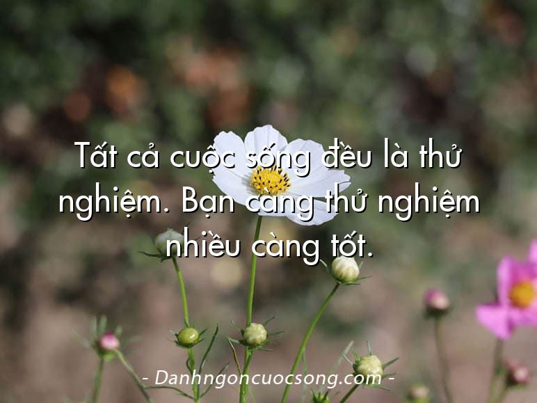 Tất cả cuộc sống đều là thử nghiệm. Bạn càng thử nghiệm nhiều càng tốt.