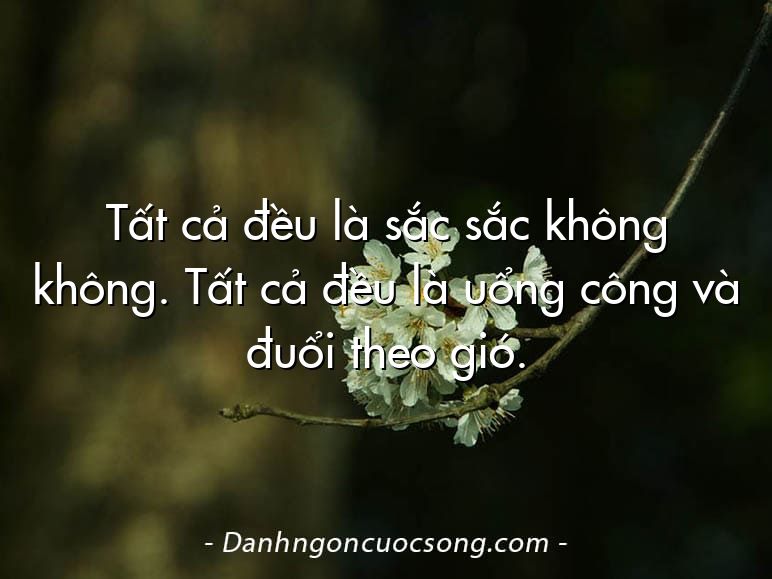 Tất cả đều là sắc sắc không không. Tất cả đều là uổng công và đuổi theo gió.