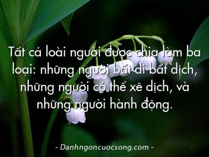 Tất cả loài người được chia làm ba loại: những người bất di bất dịch, những người có thể xê dịch, và những người hành động.