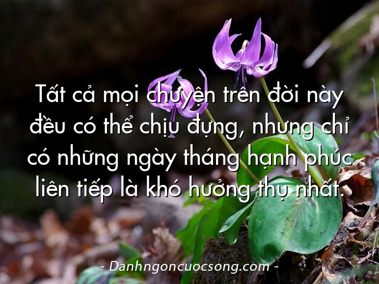 Tất cả mọi chuyện trên đời này đều có thể chịu đựng, nhưng chỉ có những ngày tháng hạnh phúc liên tiếp là khó hưởng thụ nhất.