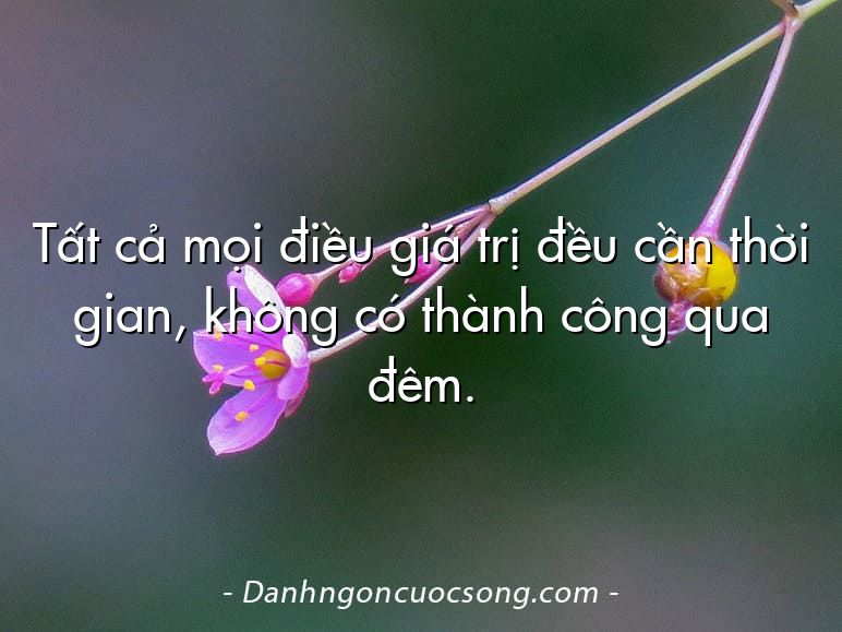 Tất cả mọi điều giá trị đều cần thời gian, không có thành công qua đêm.