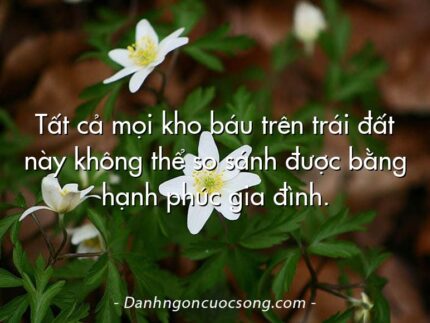 Tất cả mọi kho báu trên trái đất này không thể so sánh được bằng hạnh phúc gia đình.
