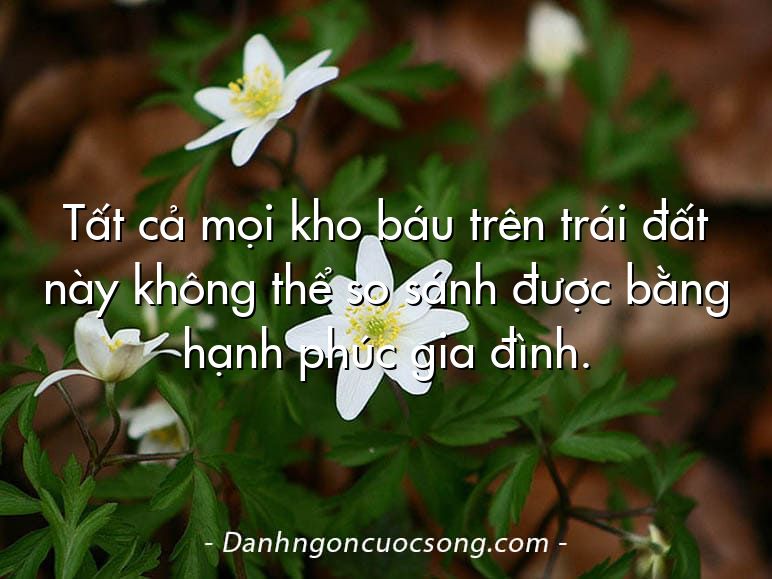 Tất cả mọi kho báu trên trái đất này không thể so sánh được bằng hạnh phúc gia đình.