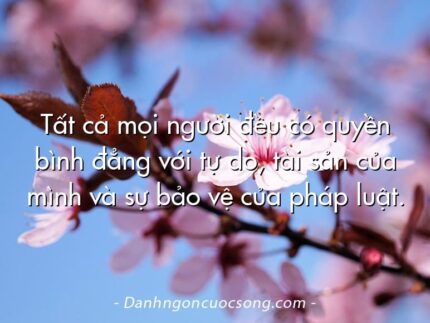 Tất cả mọi người đều có quyền bình đẳng với tự do, tài sản của mình và sự bảo vệ của pháp luật.