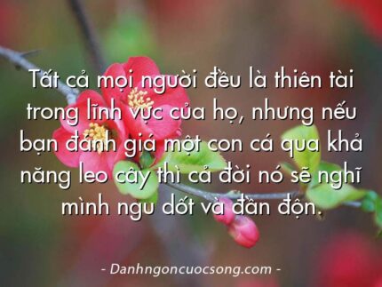 Tất cả mọi người đều là thiên tài trong lĩnh vực của họ, nhưng nếu bạn đánh giá một con cá qua khả năng leo cây thì cả đời nó sẽ nghĩ mình ngu dốt và đần độn.