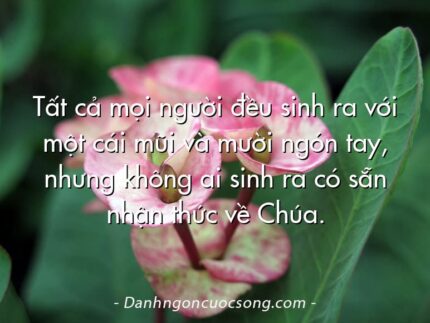 Tất cả mọi người đều sinh ra với một cái mũi và mười ngón tay, nhưng không ai sinh ra có sẵn nhận thức về Chúa.