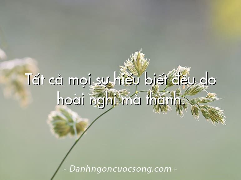 Tất cả mọi sự hiểu biết đều do hoài nghi mà thành.