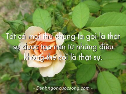 Tất cả mọi thứ chúng ta gọi là thật sự được tạo nên từ những điều không thể coi là thật sự.