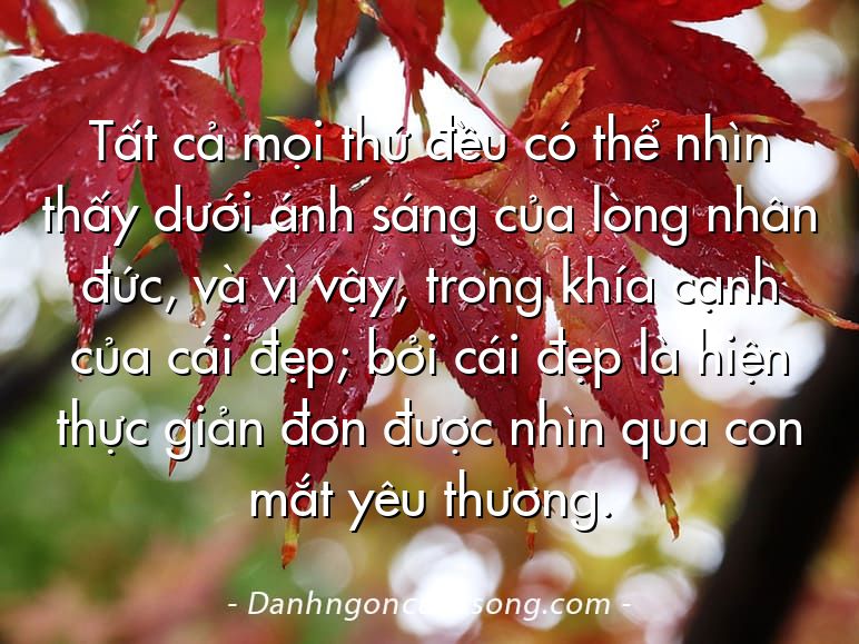 Tất cả mọi thứ đều có thể nhìn thấy dưới ánh sáng của lòng nhân đức, và vì vậy, trong khía cạnh của cái đẹp; bởi cái đẹp là hiện thực giản đơn được nhìn qua con mắt yêu thương.