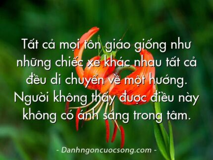 Tất cả mọi tôn giáo giống như những chiếc xe khác nhau tất cả đều di chuyển về một hướng. Người không thấy được điều này không có ánh sáng trong tâm.